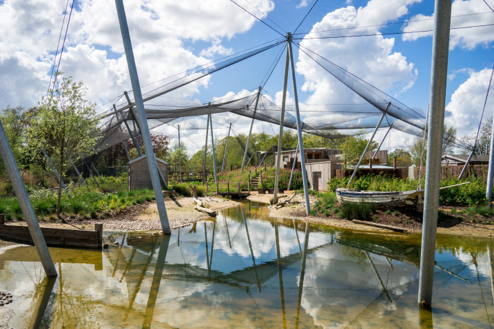 Waterscapes Aviary credit Amy Alsop..jpg